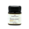 Wedderspoon Raw Manuka Honey 850 MGO (250g) - Unpasteurised High Potency